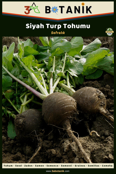 3A BOTANİK Siyah Turp Tohumu, Yerli Ve Sürdürülebilir Tohum