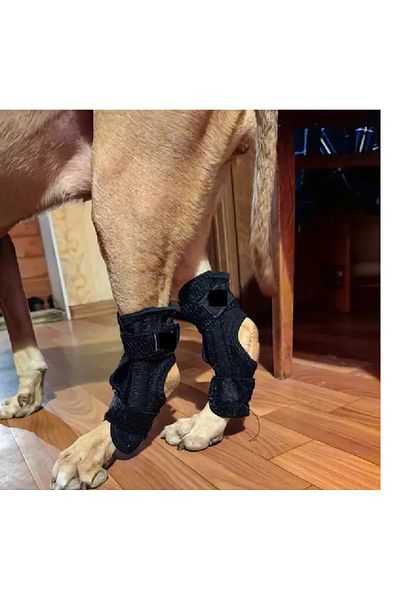 BELLFLEKSS Flexible Piece Bandage for Dogs 2 Pieces
