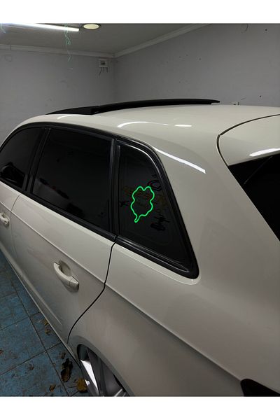3dbaydesign Neon LED Light Decor for Car YONCA (12 Volt Suction Cups GREEN)