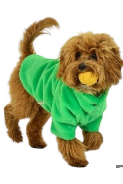 GedyCo Toscano Green Small Breed Dog Plush Coat (Suitable between 2.5 kg-8 kg)