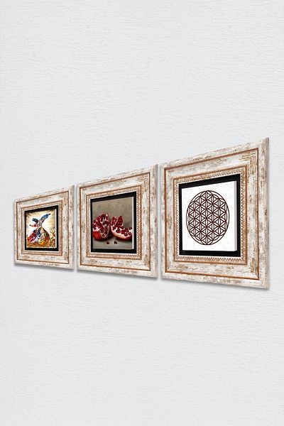 Pinecone Flower of Life, Whirling Dervish, Pomegranate Stone Wall Painting Framed Wall Decor 3 Piece Painting Set Tk3-872