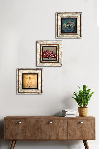 Pinecone Evil Eye, Da Vinci Vitruvian Man, Pomegranate Stone Wall Painting Framed Wall Decor Set of 3 Painting Tk3-1381