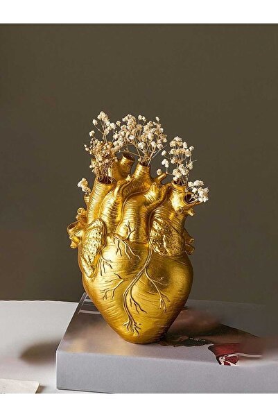 EmgCraft Anatomik Kalp Vazo