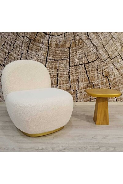 TASARIM HOME Teddy Berjer