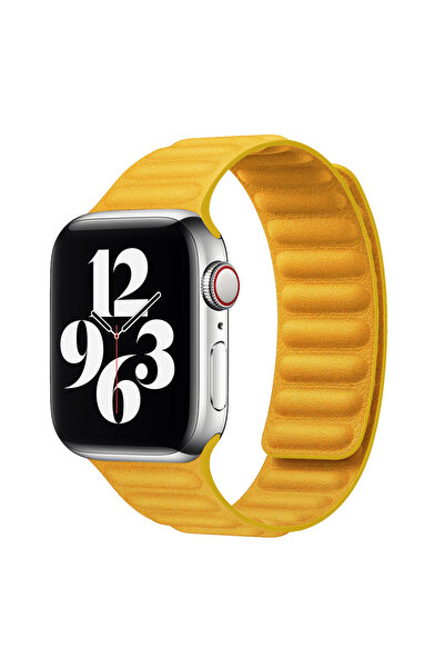 Techmaster Apple Watch 5 6 7 8 9 38mm 40mm 41mm Uyumlu Manyetik Baklalı Kordon