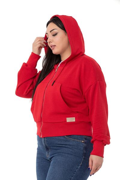 DISENTIS MODEST Large Size Kangaroo Pocket Hooded Three Thread Red Sweatshirt