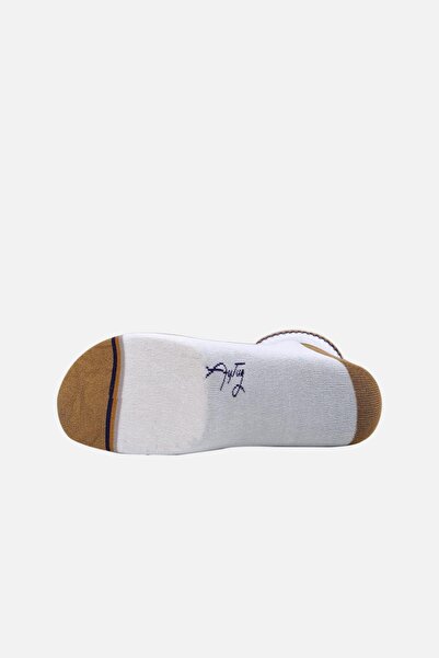 Aytuğ Erkek Modal 3 Çift Özel Kutulu Çok Renkli Patik Çorap 13251 2