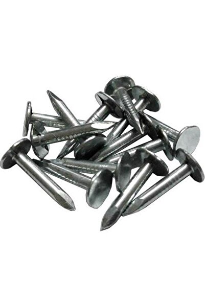 Genel Markalar ŞINGIL ÇİVİSİ 2.5CM 1KG