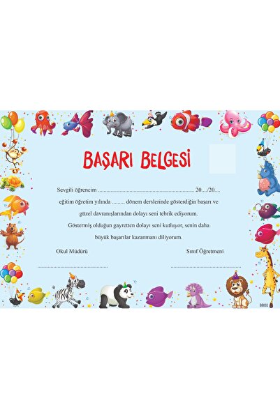 Bilgin Çocuk Yayınları Anaokulu-İlkokul Başarı Belgesi 1. Hamur Kalın Gramajl...