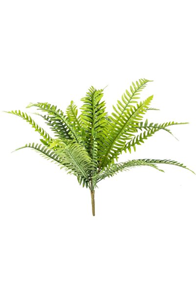 PEARSTORE AŞK MERDİVENİ 18 YAPRAKLI PEYZAJ FUJER BİTKİSİ 50CM YAPRAK 40 CM