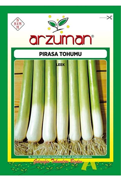 Patika Botanik İnegöl Pırasa Tohumu 3000 Tohum 10 Gram