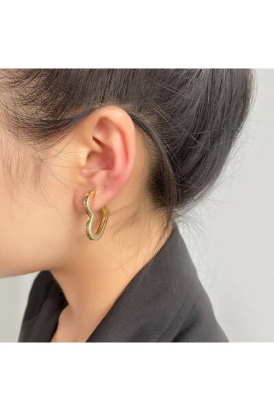 neslyaccessories Yüksek Kalite Ithal Mikron Kaplama Çelik Kalp Küpe