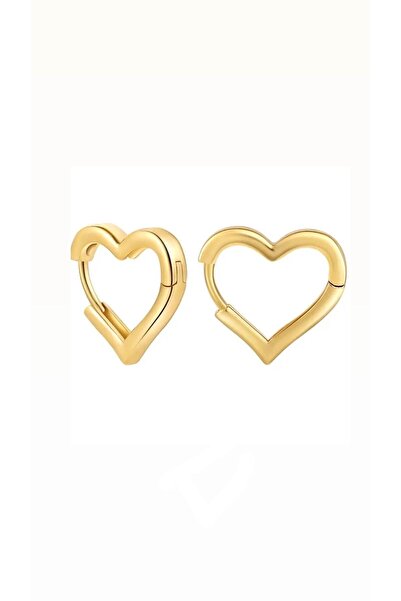 neslyaccessories Yüksek Kalite Ithal Mikron Kaplama Çelik Kalp Küpe