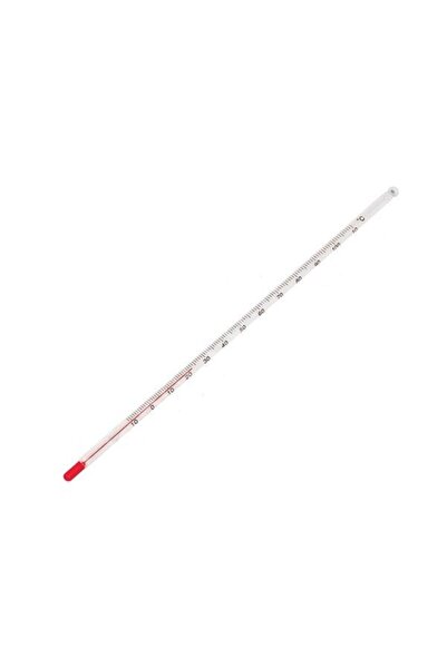 ISOLAB Cam Termometre -10/200°c