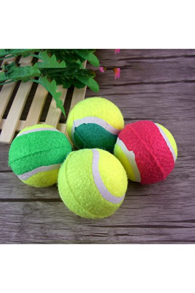 HEKİM PET Tenis Topu Köpek Oyuncağı 1 Adet