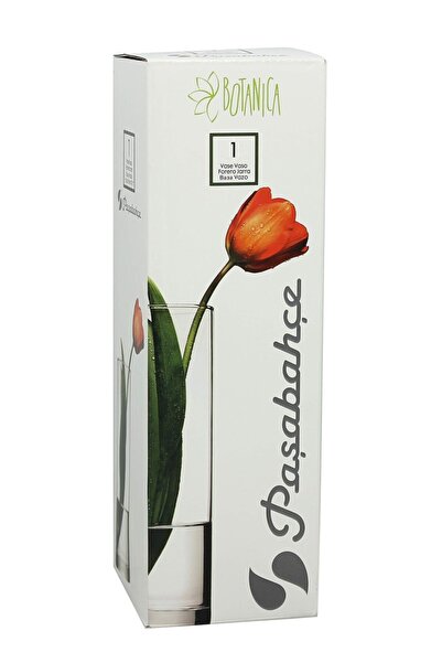 Paşabahçe 2 Adet Flora Cam Vazo - Silindir Vazo - 26 Cm - 43767