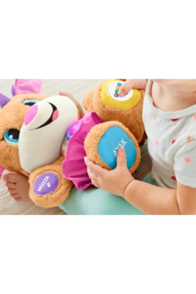 FISHER PRICE Eğlen & Öğren Yaşa Göre Gelişim Eğtici Köpekçiğin Kız Kardeşi Pembe