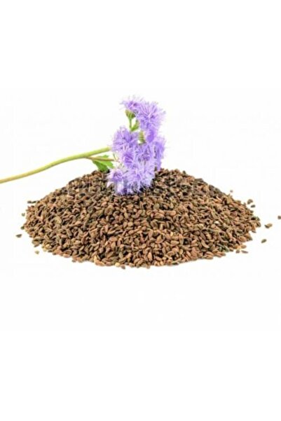 Hüdaverdi Arıcılık Arı Otu Tohumu Faselya 1 Kg