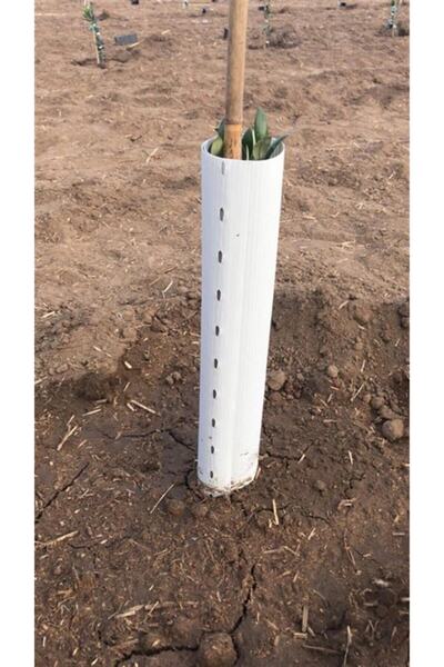 BURSATARIM Fidan Koruma Tüpü - Rulo 50cm 5li ( 30cm X 50cm)