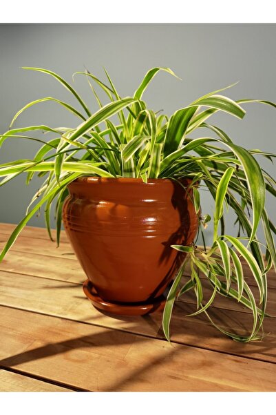 Balcony Flower Orta Boy Çömlek Saksı