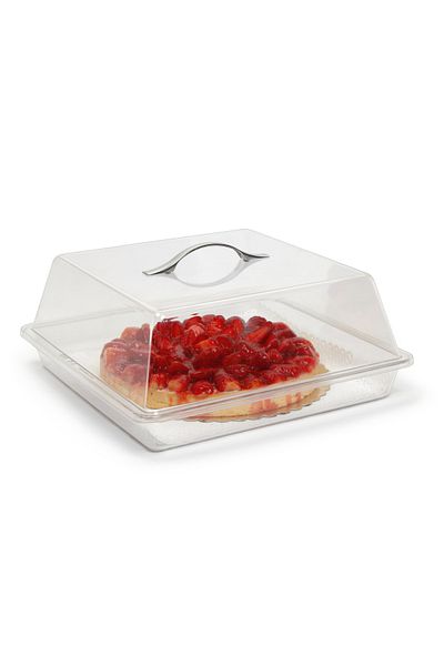 Bora Plastik Square Pastry Cake Container Set with Metal Handle - 330*330*95 Pc