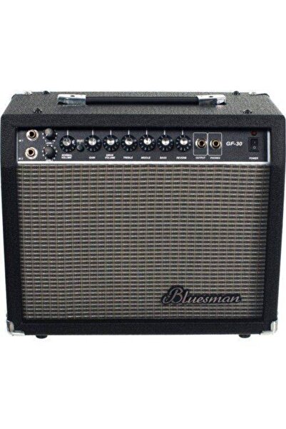 Bluesman Gf-30 Çift Girişli + Reverb Amfi