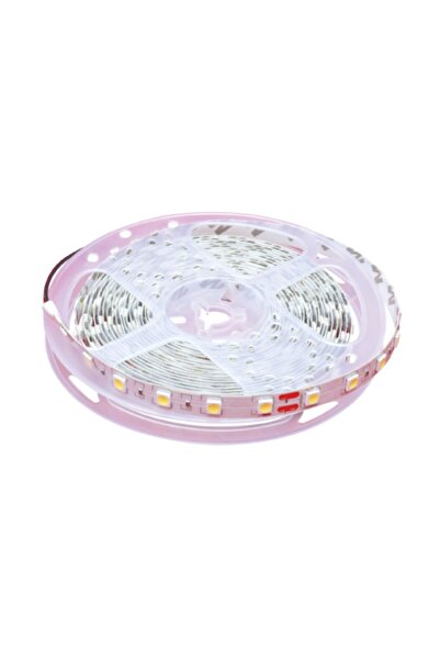 Hero Led 4040 Iç Mekan Şerit Led (GÜN İŞIĞI) (5 METRE)