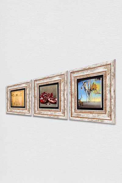 Pinecone Salvador Dali, Leonardo Da Vinci, Pomegranate Stone Wall Painting Framed Wall Decor 3 Piece Set Tk3-1399