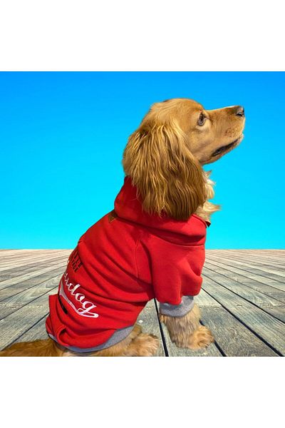 Alphadog Leader Red Medium-large Breed Dog Sweatshirt