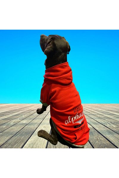 Alphadog Leader Red Medium-large Breed Dog Sweatshirt