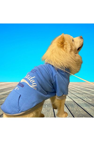 Alphadog Leader Blue Medium-large Breed Dog Sweatshirt