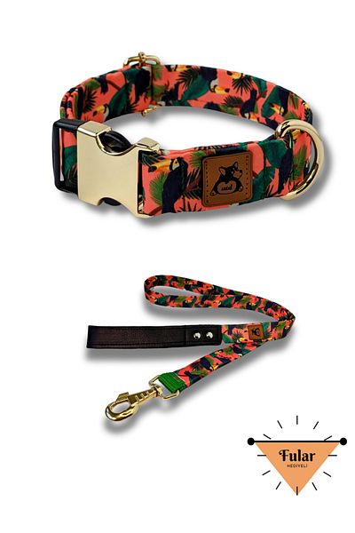 UTDpet Toucan Dog Collar and Travel Dispatch Strap Set (with Scarf Gift)