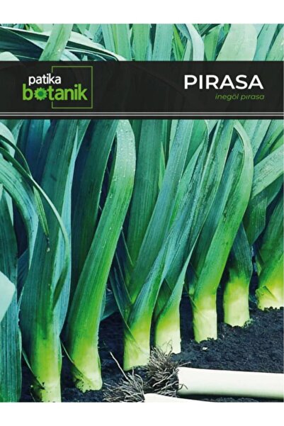 Patika Botanik 1000 Adet İnegöl Pırasa Tohumu