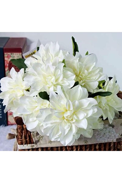 RUZGARCİCEK Rüzgar Floră Artificială Pinnata Starflower