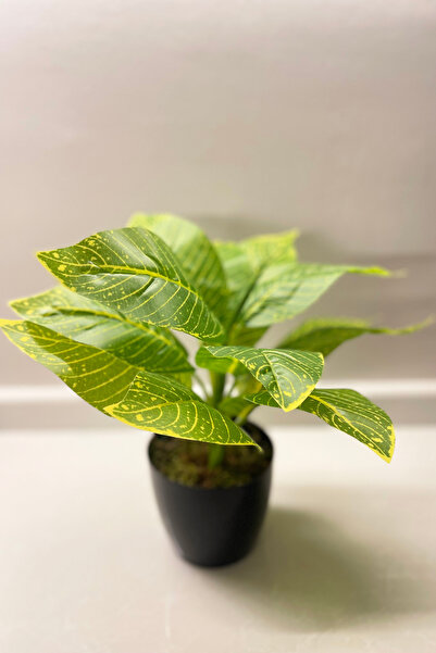 Meran Yapay Çiçek Siyah Plastik Saksıda Yeşil Bitki Yapay Ağaç