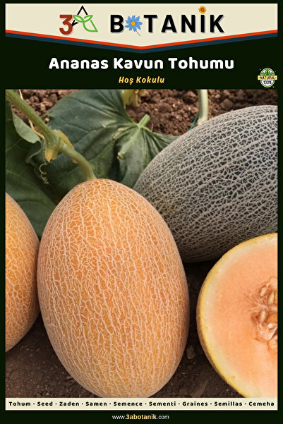 3A BOTANİK Ananas Kavun Tohumu, 2 Gram/40-70 Adet Kavun