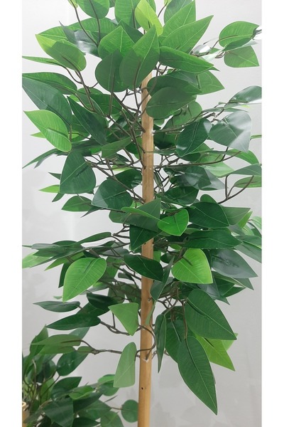 SeR Hediyelik Yapay Çiçek, Yapay Benjamin Ağacı 150 Cm, Yoğun Yapraklı Salon Bitkisi Ev Dekorasyonu