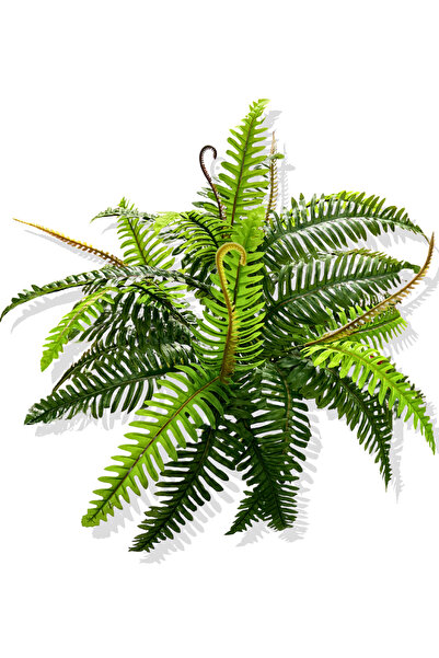 Cihan Çiçekçilik Yapay Bitki Aşk Merdiveni (Fujer) Demeti 55 Cm