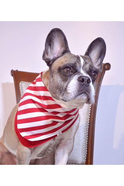 minart design RED STRIPED DOUBLE SIDED BANDANA FOR CATS AND DOGS WITH STRAP DETAIL