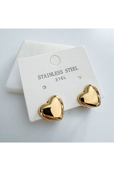 CHARMLUCKY Steel heart earrings