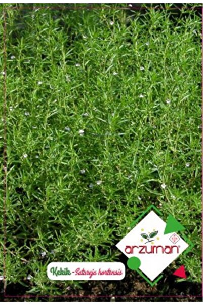 Arzuman Tohum Doğal (kokulu) Kekik Zahter Tohumu-100 Adet