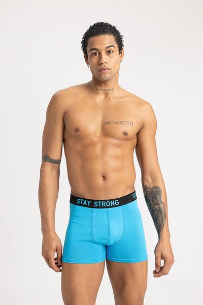 DeFacto Regular Fit 3-pack Boxer B7887ax24sm