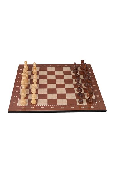 SERA Small Size Wooden Chess Set with Bag