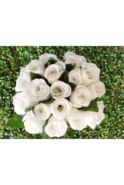 PEARSTORE 18 τεμάχια τριαντάφυλλα με οπτική απόδειξη και ομορφιά, κάντε τους ...