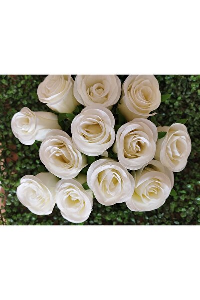 PEARSTORE 12 τεμάχια τριαντάφυλλα με την οπτική απόλαυση και την ομορφιά τους...