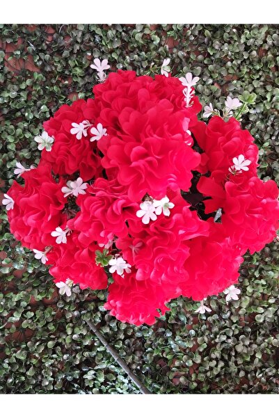 PEARSTORE Ο δρόμος προς την καρδιά των αγαπημένων σας με 12 κλαδιά χρυσάνθεμα...