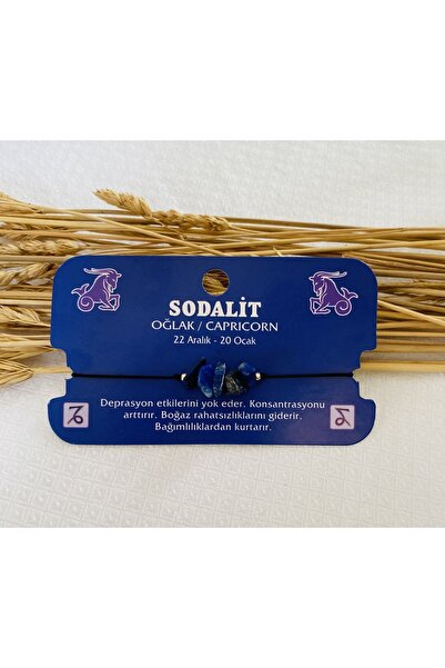 Fynbos Doğal Taşlı Burç Bilekliği