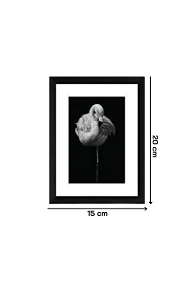 NT Handmade 12 bucăți cadru negru cu aspect Home Sweet Decor de perete Set pictură pentru living dormitor