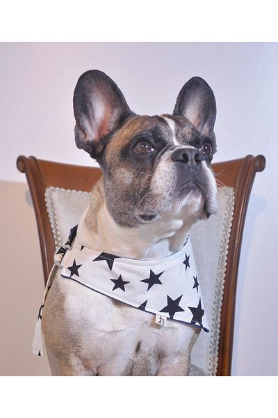 minart design DENIM AND STAR DOUBLE SIDED TIE-UP BANDANA FOR CAT AND DOGS