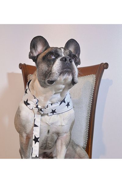 minart design DENIM AND STAR DOUBLE SIDED TIE-UP BANDANA FOR CAT AND DOGS